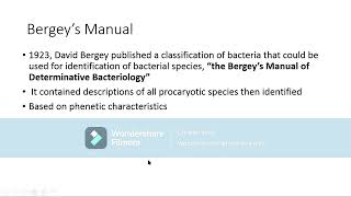 Classification Of Bacteria  Bergeys Manual Of Determinative Bacteriology [upl. by Ameerak172]