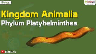 Kingdom Animalia Phylum Platyhelminthes  Biology  iKen  iKenEdu  iKenApp [upl. by Naujuj15]