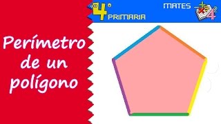 Matemáticas 4º Primaria Tema 5 Perímetro de un polígono [upl. by Gnoy]