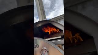 Wood chips and wood pellets Pizza Oven food pizzacooking cooking pizzamaking [upl. by Howund]