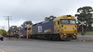 Level Crossing Stawell Lake Rd VIC Australia [upl. by Dahl]