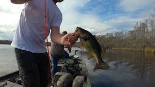 TIDAL RIVER BASS FISHING [upl. by Rorrys3]