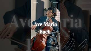 🎶 Cello Soothing Vibes  Ave Maria BachGounod 🎻 cello avemaria soothing [upl. by Enois245]