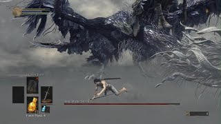 Nameless King SL1 No UpgradesAuxHit [upl. by Atoked72]