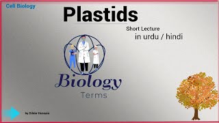 Plastids Short Lecture  Plastid Class 9 11  Chloroplast Structure in Urdu\Hindi [upl. by Ardnazxela]