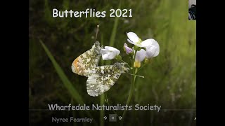 WNS Butterfly Review 2021 [upl. by Annadiane61]