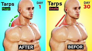 7 BEST EXERCISE TRAPS WORKOUT 🔥 [upl. by Figueroa]