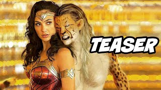 Wonder Woman 1984 Official Teaser  Steve Trevor Scene Explained [upl. by Ahswat]