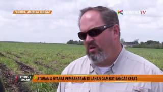 Gambut Dianggap quotHartaquot oleh Petani Florida [upl. by Kevon812]