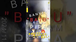 CARA BALIAN🔥MAMPET BALI quotMEMBERSIHKANquot SALURAN AIR MAMPET BATU PASIR TANAH amp BANGKAI BY SEDOT WC [upl. by Oby]