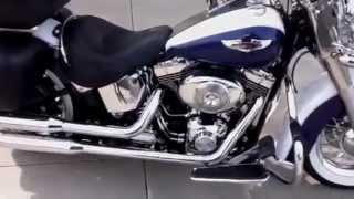 2006 Harley Davidson Softail Deluxe [upl. by Carlock]