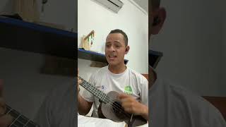 Raul Seixas Medo da Chuva Ukulele [upl. by Fanchette]