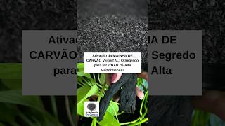 Ativação da Moinha de Carvão Vegetal O Segredo para Biochar de Alta Performance agro biochar [upl. by Ehrlich]