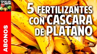 5 fertilizantes con cascara de platano  Potasio  Mas Frutos cosasdeljardin [upl. by Auhesoj93]