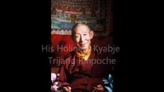 Top 12 Highest Tibetan Buddhist Masters In the World  Dorje Shugden Lamas [upl. by Berner]