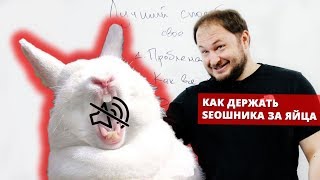 Как контролировать свое SEO или держать seoшника за яйца [upl. by Nohsyt37]