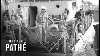 Suez Emergency 1956 [upl. by Rekab]