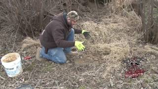 DUKE TRAPSBonebrothers Trapping Coyote Trap Tutorial [upl. by Namrej]