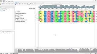 Basic example using UGENE to build a phylogenetic tree [upl. by Martita991]