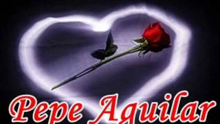 Pepe Aguilar  El Amar Y El Querer [upl. by Sianna964]