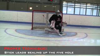 Breakaway Video Goaltending [upl. by Einwahr]