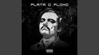 Plata O Plomo [upl. by Zilla]