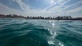 Snorkeling in Marsa Alam  Egypt 2 [upl. by Sewellyn441]