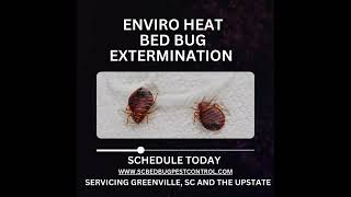 Enviro Heat Bed Bug Extermination Greenville SC bedbugscontrol bedbuginfestation [upl. by Lesser823]