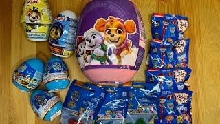 Asmr unboxing eggs Paw Patrol Large collection [upl. by Vinay804]