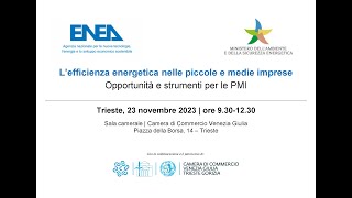 L’efficienza energetica nelle piccole e medie imprese  Trieste 23 novembre 2023 [upl. by Artinek]