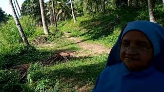 Srilanka Rosarian 200 Nuns were feed during Covid [upl. by Yenitsed]