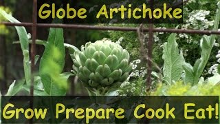 What is the Best Way to Eat Artichokes [upl. by Mikey]