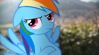 Rainbow Dashs Precious Book  Part 4 MLP in real life [upl. by Giovanna]