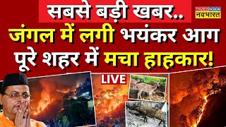 Uttarakhand Forest Fire Update News LIVE जंगल में लगी आग पूरे शहर में मच गया हाहाकार  CM Dhami [upl. by Alioz407]