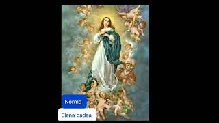 cantos de la purísima de Norma Elena Gadea [upl. by Waugh645]