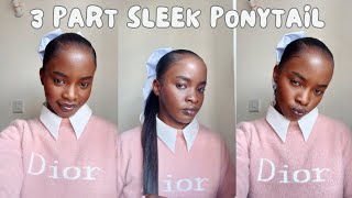 HOW TO 3 PART SLEEK PONYTAIL  QUICK AND EASY [upl. by Torto748]