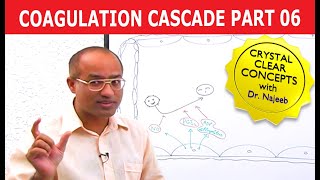 Coagulation Cascade  Part 612 [upl. by Leksehcey]