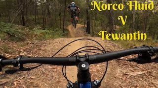 Norco Fluid Trail BikeTewantin MTB Park [upl. by Latrena31]