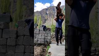 story of heavy wood carrying and cutting 💪youtubeshorts woodworking shorts [upl. by Llertnor477]