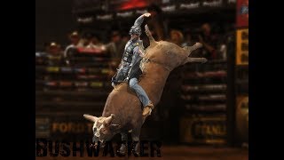 Bushwacker highlights [upl. by Ode75]