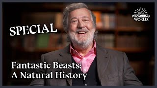 Fantastic Beasts A Natural History With Stephen Fry  Wizarding World [upl. by Baiel]