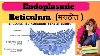 Structure of Endoplasmic Reticulum and Function l Biology l LN Education l [upl. by Elbag]