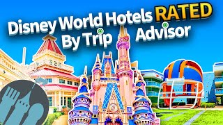 Disney World Hotels Rated By Trip Advisor [upl. by Popper824]