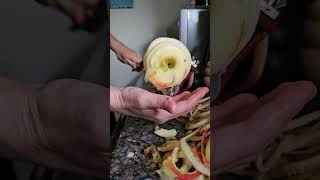 Honeycrisp apple pie prepping [upl. by Shaine]