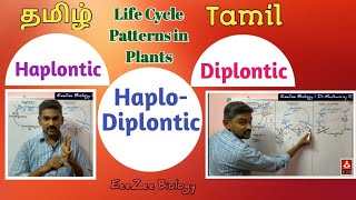 Biology Plantae part 24 Plant life cycle Haplontic diplontic CBSE class 11 IX [upl. by Attenohs]