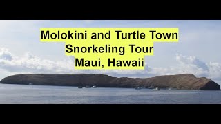 Molokini and Turtle Town Snorkeling Tour  Maui  Hawaii [upl. by Corso977]