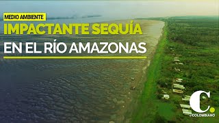 Impresionantes imágenes de la sequía en el río Amazonas  El Colombiano [upl. by Aldora691]