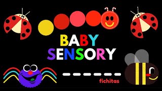 Estimulación Visual y Auditiva para Bebes 5  Baby Sensory Infant visual stimulation [upl. by Gerdeen]