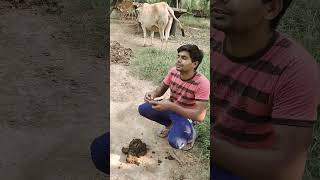 Sasta nasha funny Raj12062 funny shorts viralvideo [upl. by Uhile]