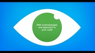 RSM Audit Methodology [upl. by Hearn]